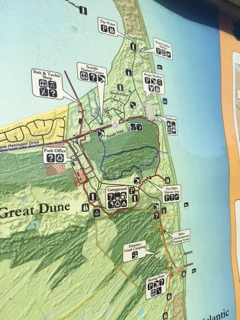 Camper submitted image from Cape Henlopen State Park Campground - 5