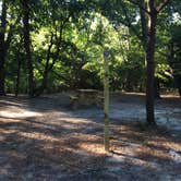 Review photo of Cape Henlopen State Park Campground by Sarah C., September 8, 2017