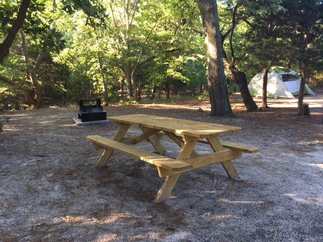 Sarah C.'s photo at Cape Henlopen State Park Campground near Millsboro, DE