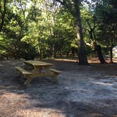 Review photo of Cape Henlopen State Park Campground by Sarah C., September 8, 2017