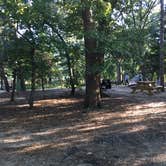 Review photo of Cape Henlopen State Park Campground by Sarah C., September 8, 2017