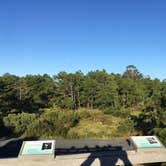 Review photo of Cape Henlopen State Park Campground by Sarah C., September 8, 2017