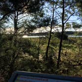 Review photo of Cape Henlopen State Park Campground by Sarah C., September 8, 2017
