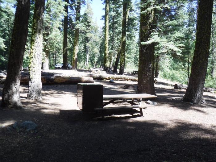 Camper submitted image from Tahoe National Forest Sierra Campground - 3