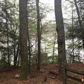 Review photo of Wells State Park Campground by Jen V., September 8, 2017