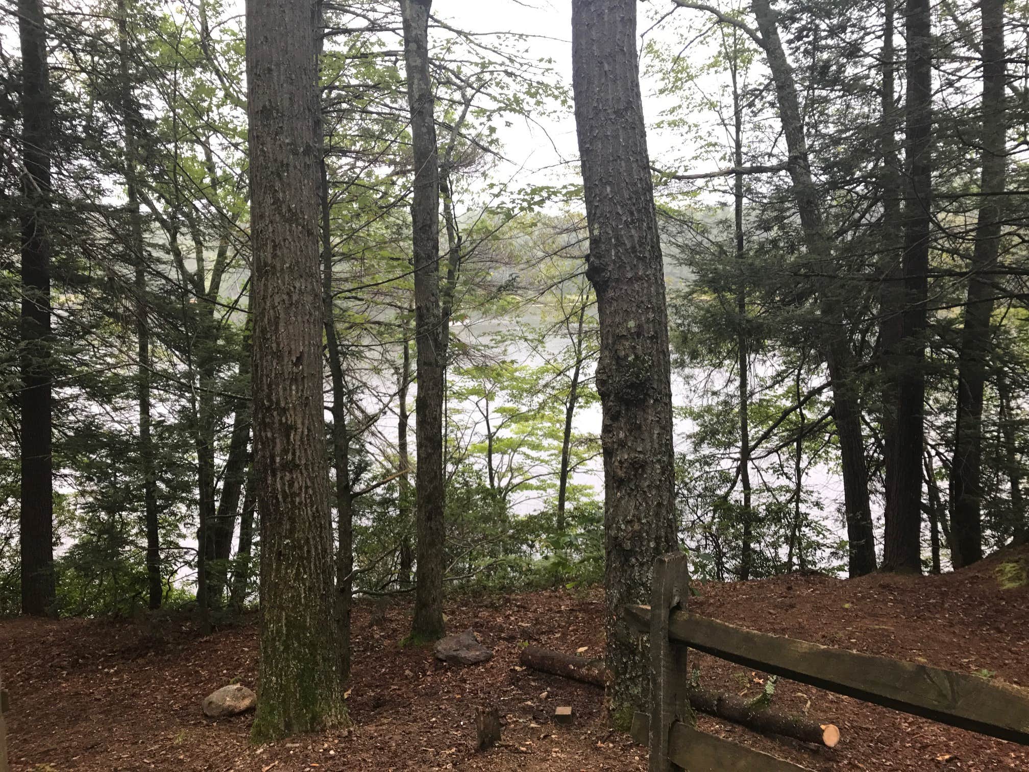 Camper submitted image from Wells State Park Campground - 2