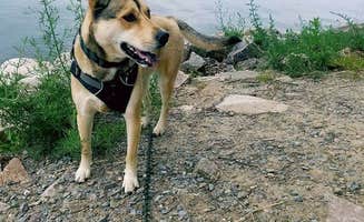 Thomas B.'s photo of camping with pets at Dewolf Point State Park Campground near Alexandria Bay, NY