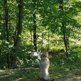 Review photo of Dewolf Point State Park Campground by Thomas B., September 9, 2017