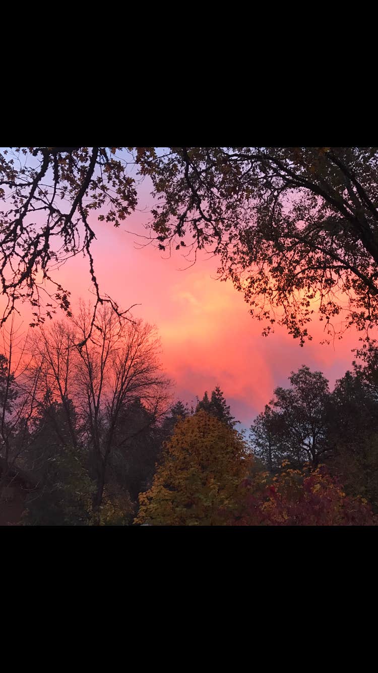 Camper submitted image from Valley of the Rogue State Park Campground - 2