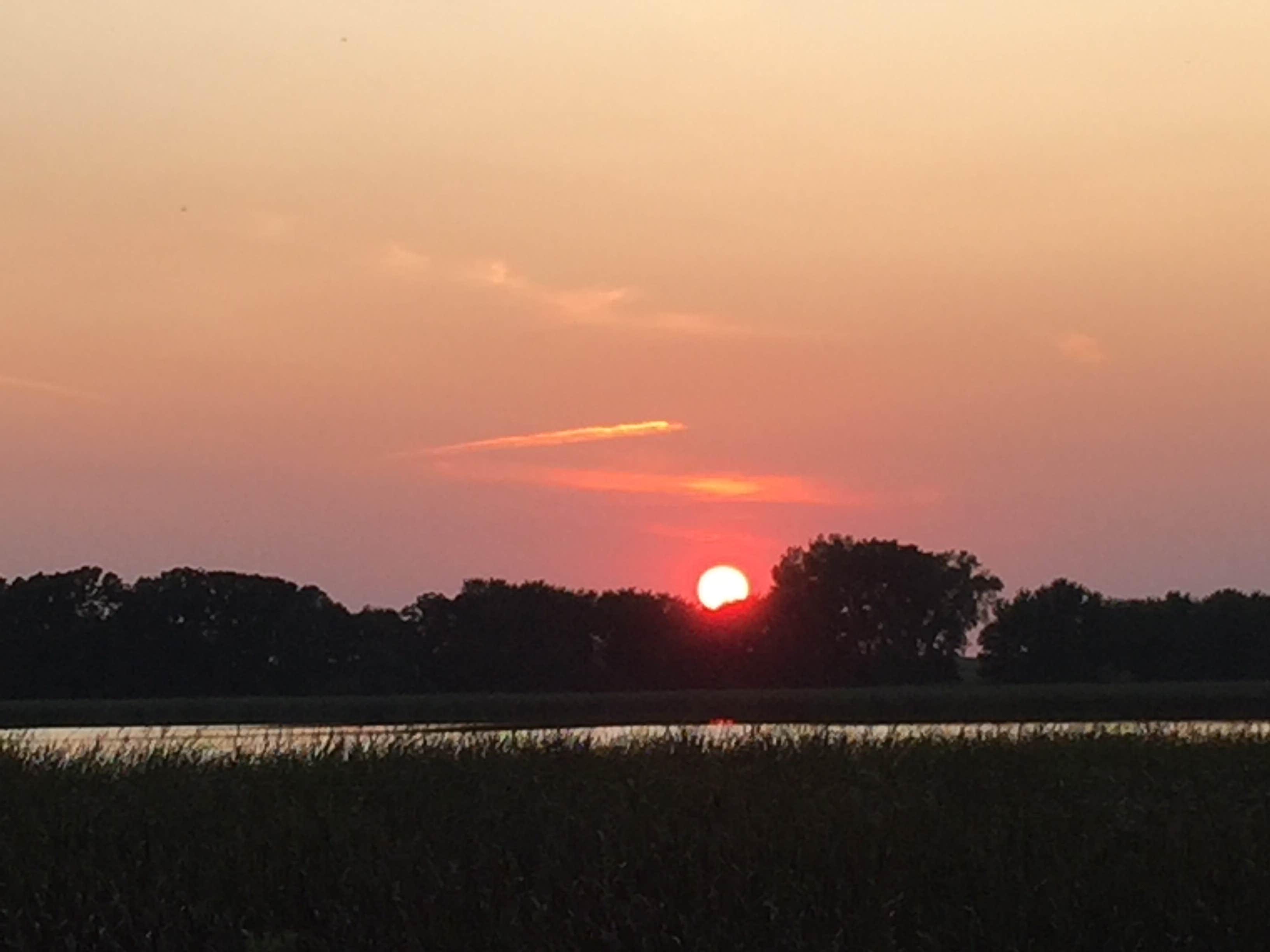 Camper submitted image from Rice Lake Campground — Rice Lake State Park - 2