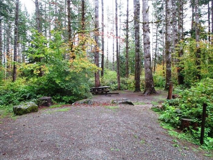 Camper submitted image from Horseshoe Cove Campground - 5