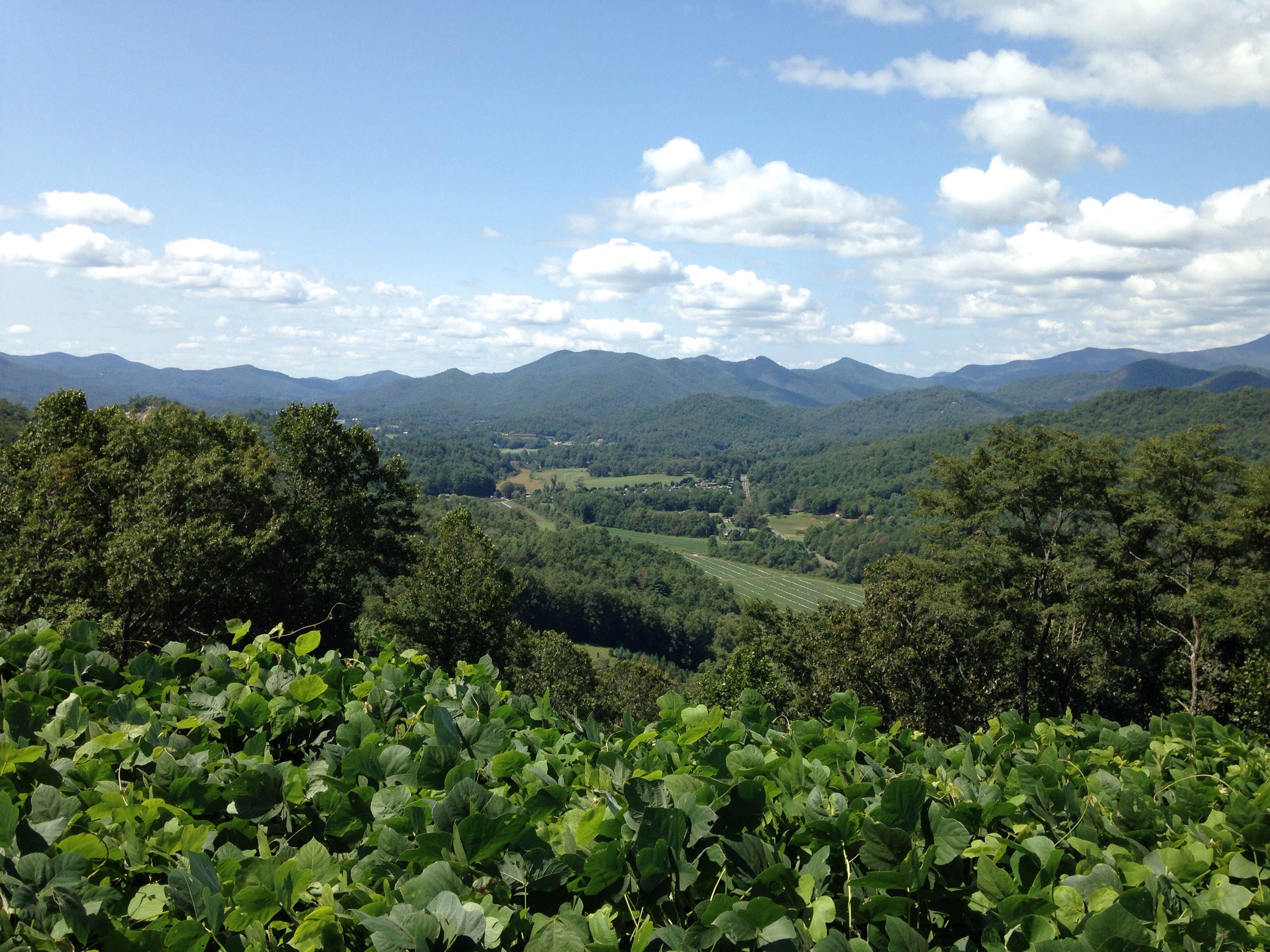 Camper-submitted photo at River Vista RV Park near Clayton, GA