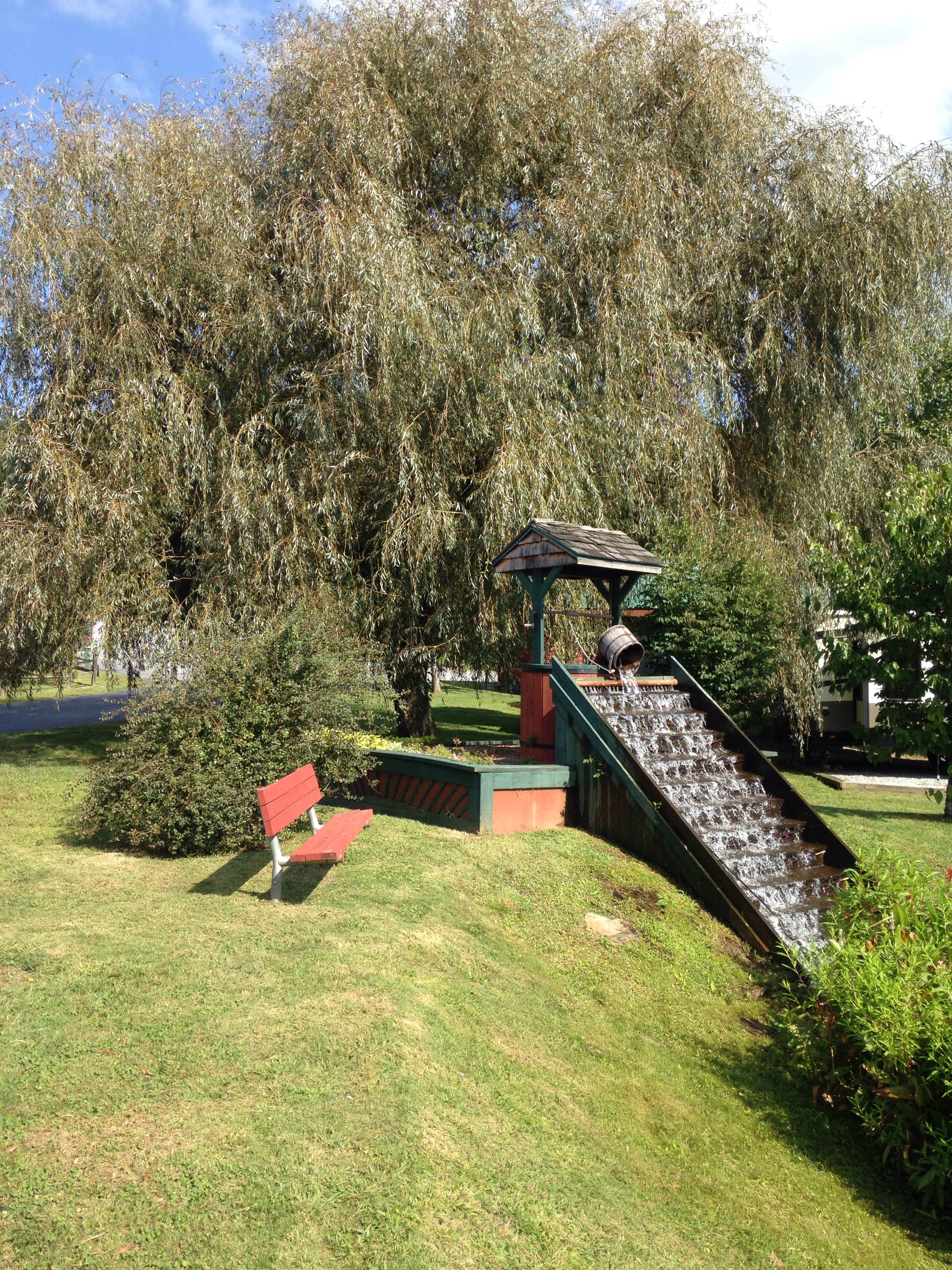 Camper-submitted photo at River Vista RV Park near Clayton, GA