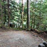 Review photo of Goodell Creek Campground — Ross Lake National Recreation Area by Rachel M., September 10, 2017