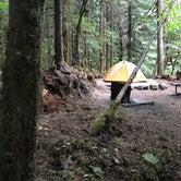 Review photo of Goodell Creek Campground — Ross Lake National Recreation Area by Rachel M., September 10, 2017