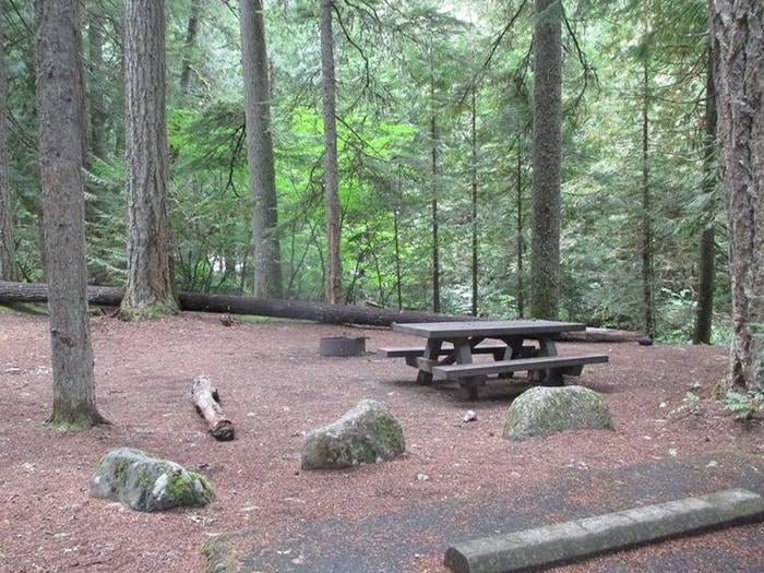 Camper submitted image from Silver Springs Campground - 5