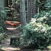 Review photo of Fort Townsend Historical State Park Campground by Rachel M., September 5, 2017