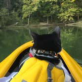 Review photo of Moutardier by Pawsfuradventure T., September 11, 2017