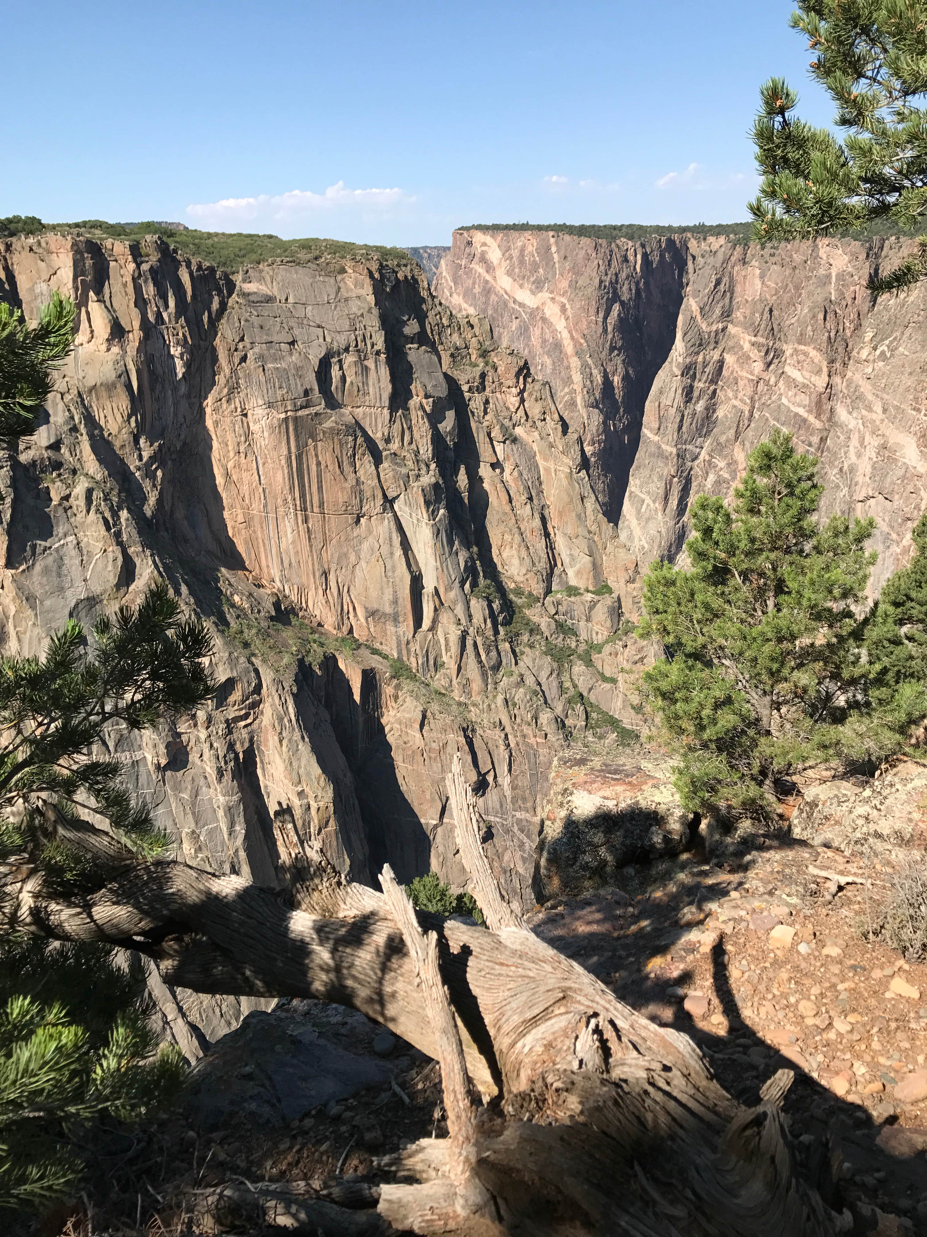 Camper submitted image from North Rim Campground — Black Canyon of the Gunnison National Park - 2