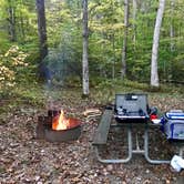 Review photo of Laurel Hill State Park Campground by Jonathan K., April 3, 2020