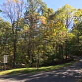 Review photo of Laurel Hill State Park Campground by Jonathan K., April 3, 2020