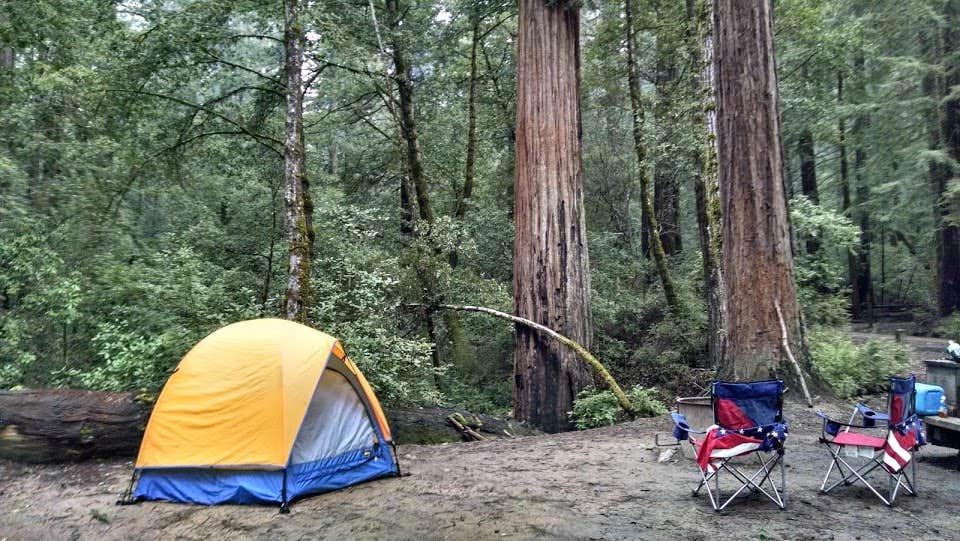 Jonathan K.'s photo at Lower Blooms Creek — Big Basin Redwoods State Park — CAMPGROUND CLOSED near Mount Hermon, CA