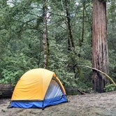 Review photo of Lower Blooms Creek — Big Basin Redwoods State Park — CAMPGROUND CLOSED by Jonathan K., April 3, 2020