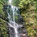 Review photo of Lower Blooms Creek — Big Basin Redwoods State Park — CAMPGROUND CLOSED by Jonathan K., April 3, 2020