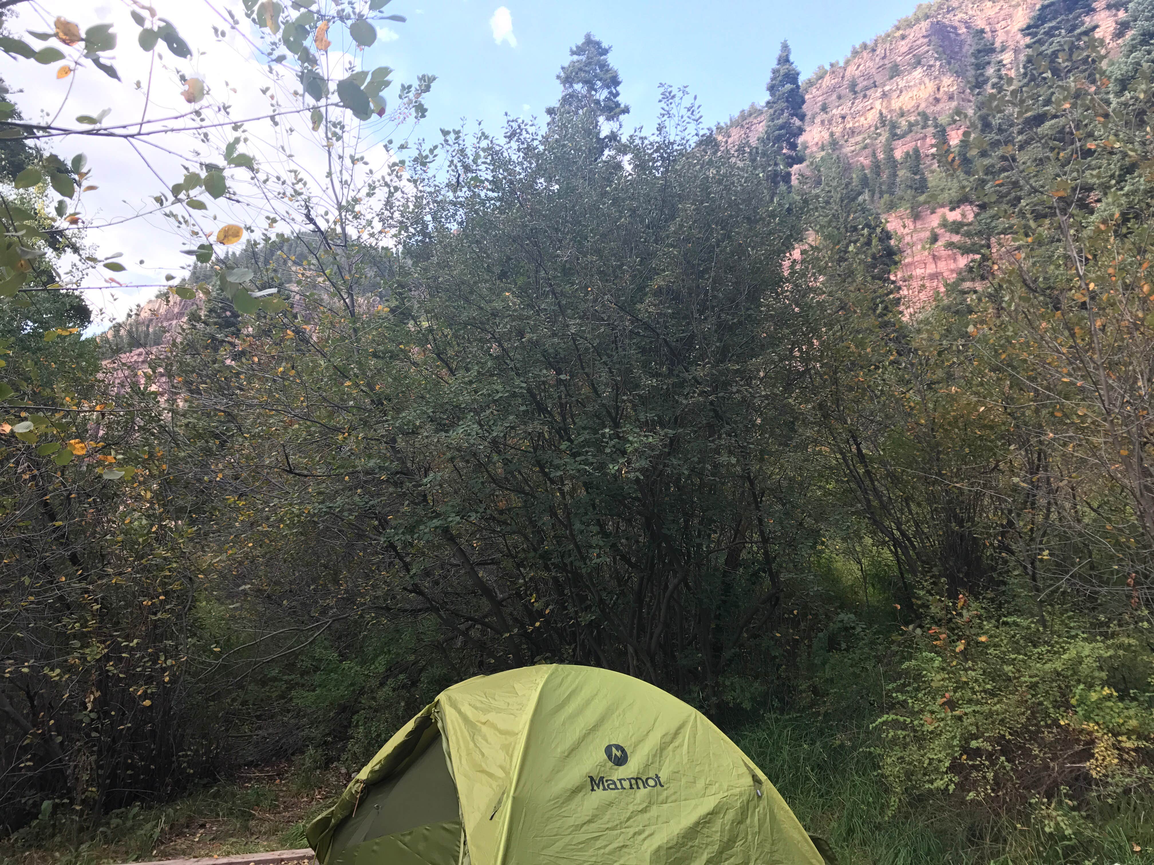 Brandi F.'s photo at Amphitheater Campground near Ouray, CO