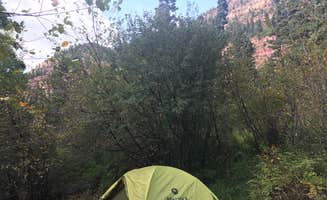 Brandi F.'s photo at Amphitheater Campground near Ouray, CO