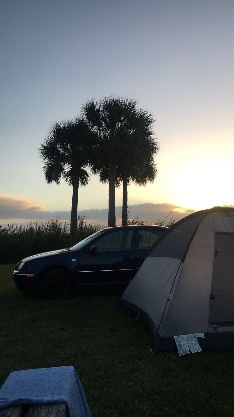 Camper submitted image from Sawgrass Recreation Park - 1