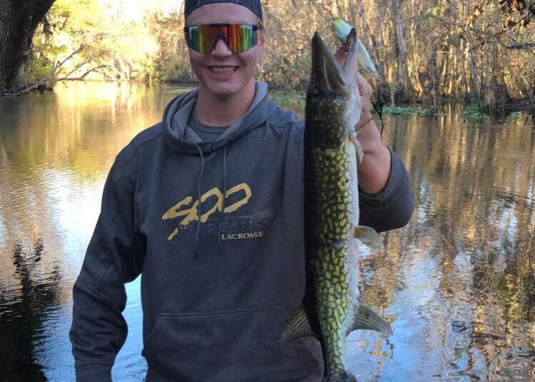 Gores Landing Camping The Dyrt