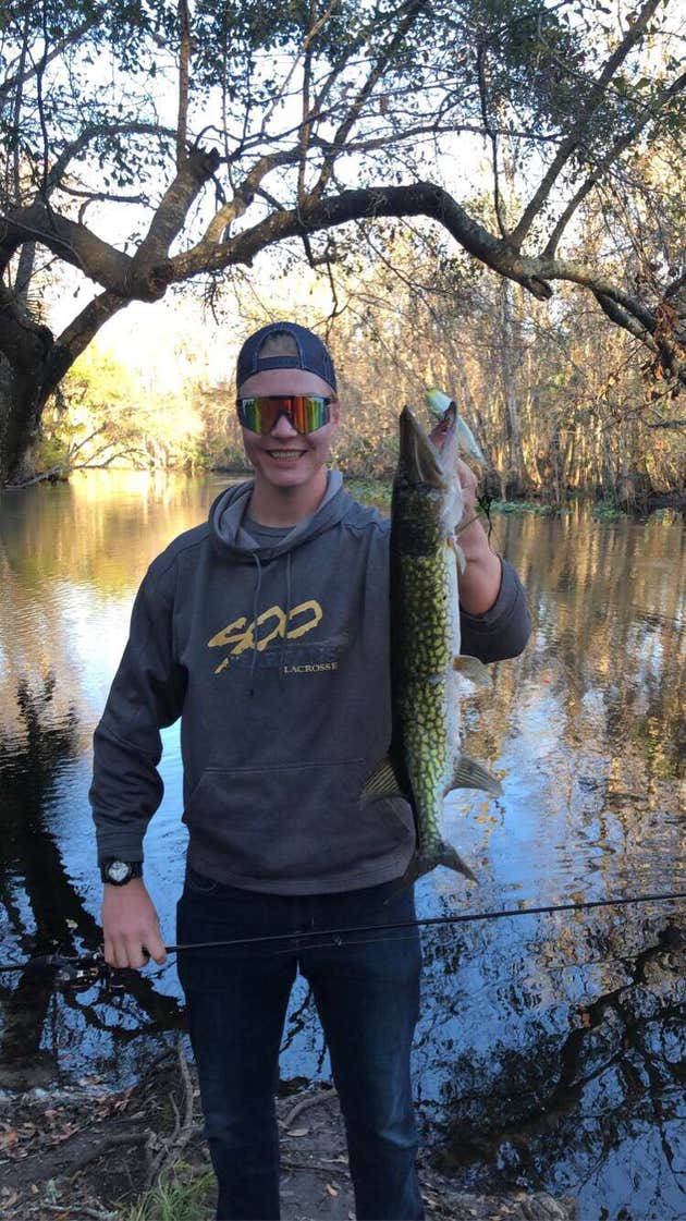 Gores Landing Camping The Dyrt