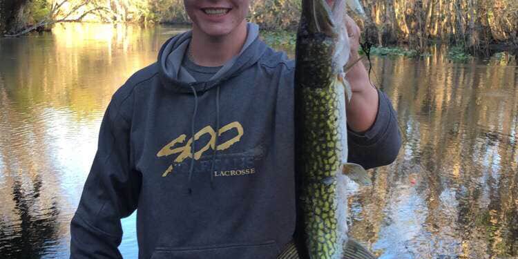 Camper submitted image from Gores Landing