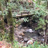 Review photo of Uvas Canyon County Park by Tom and Marianne  H., April 5, 2020