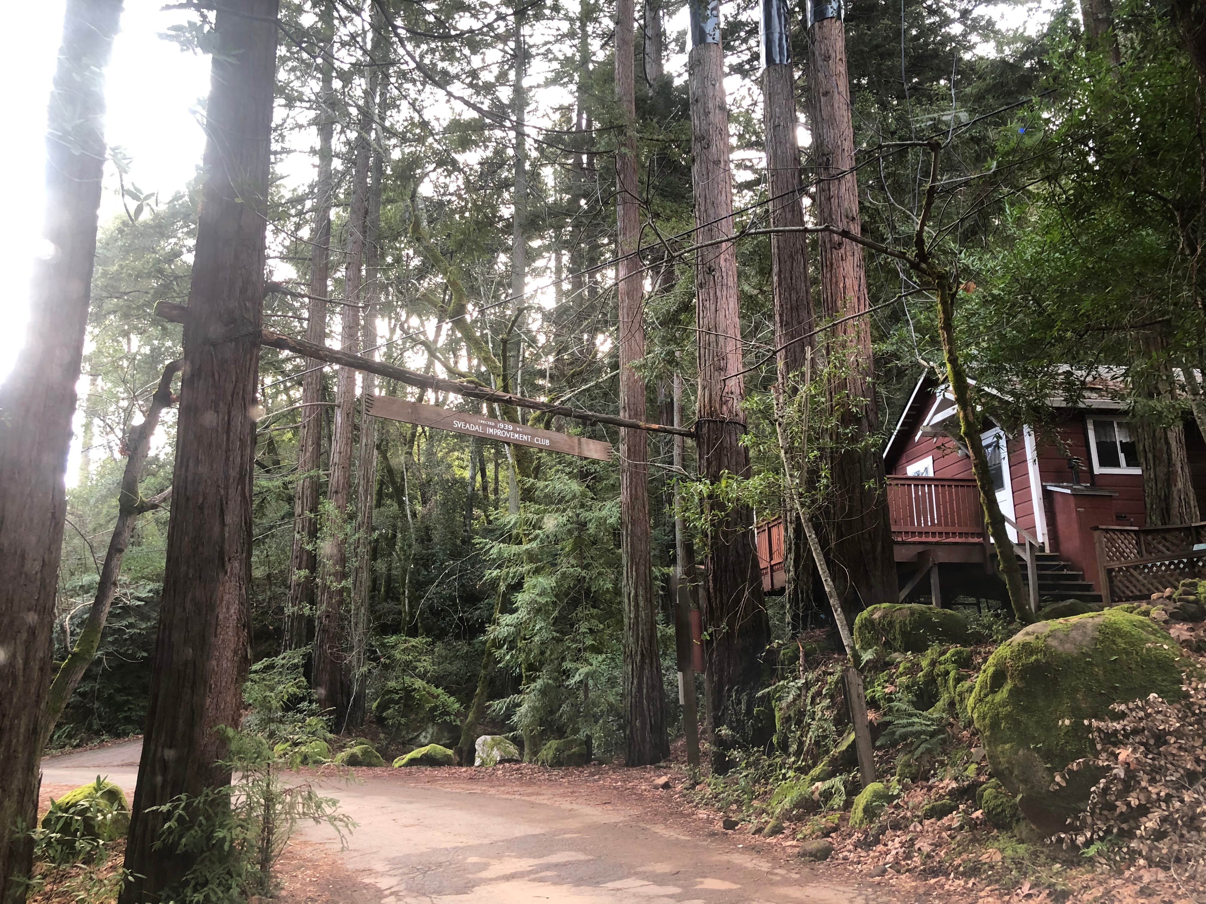 Tom and Marianne  H.'s photo of glamping accommodations at Uvas Canyon County Park near Soquel, CA