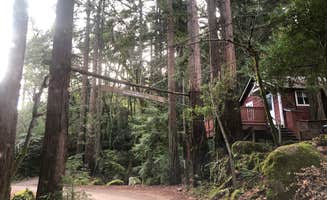 Tom and Marianne  H.'s photo of glamping accommodations at Uvas Canyon County Park near Seaside, CA
