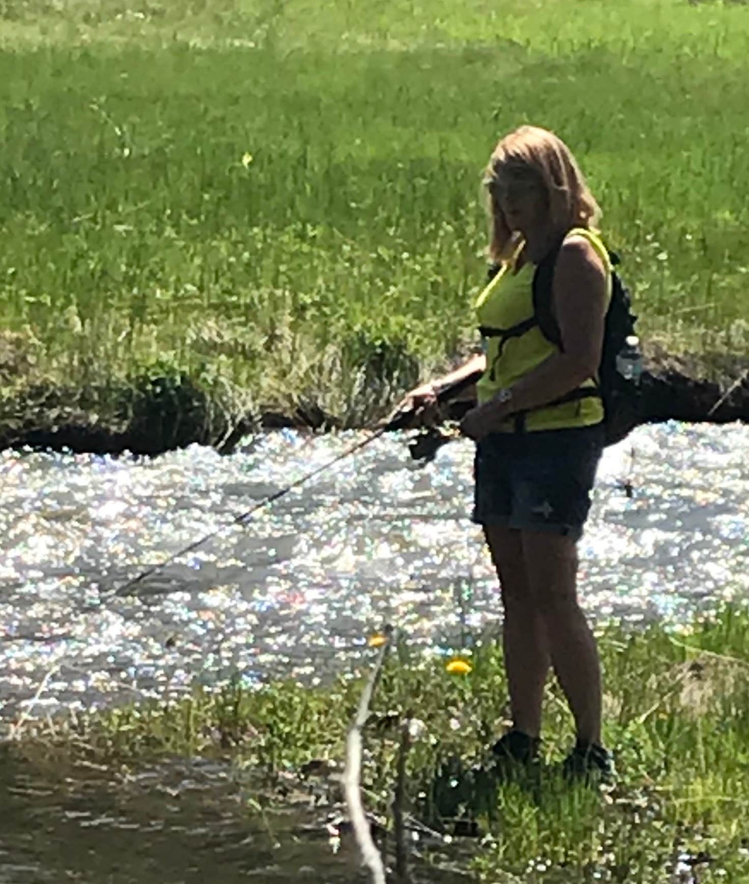 Camper-submitted photo at La Junta Campground near Red River, NM