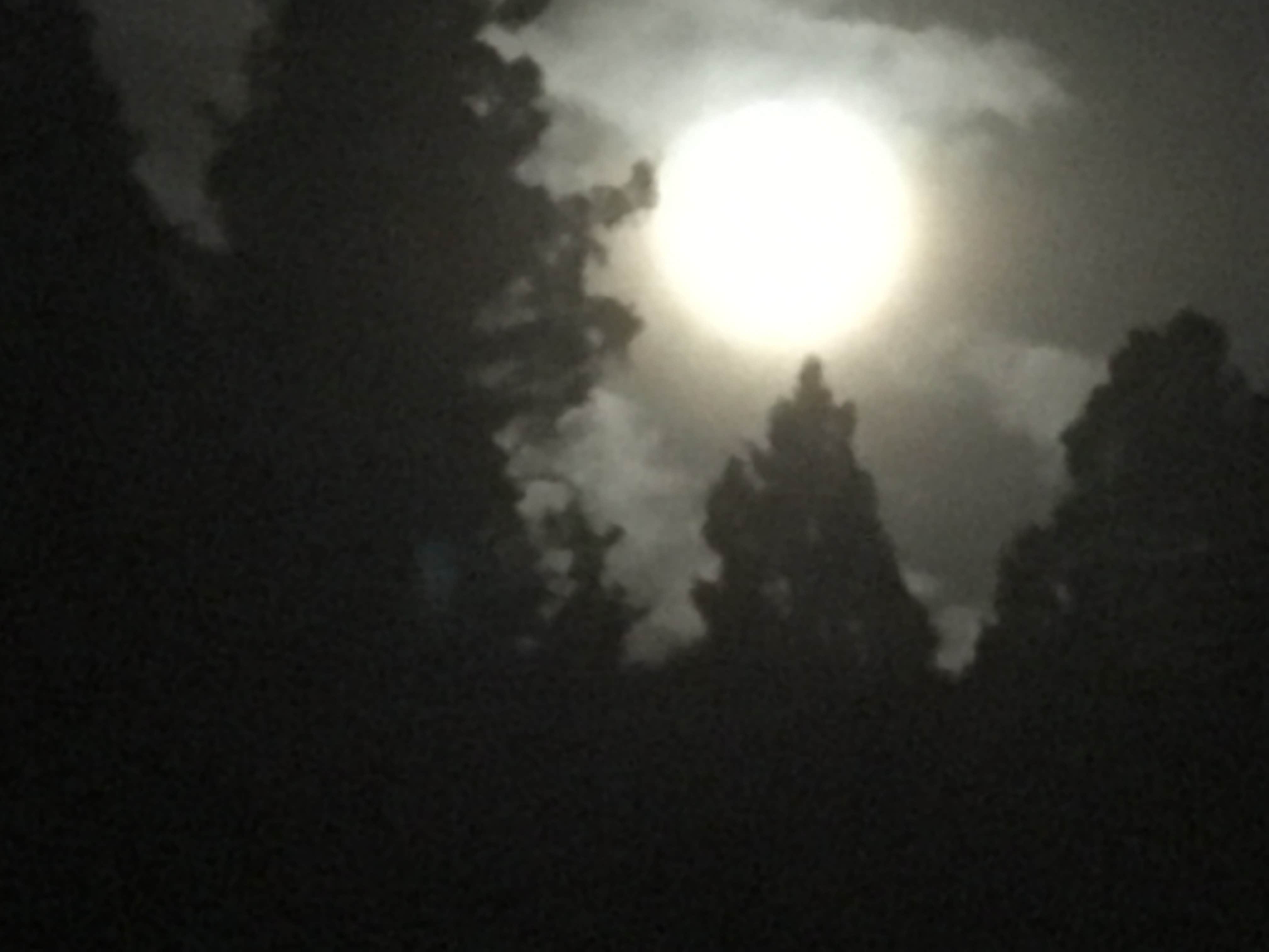 Camper-submitted photo at La Junta Campground near Red River, NM