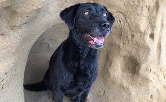 Jessica C.'s photo of camping with pets at Tillicum Beach Campground near Toledo, OR
