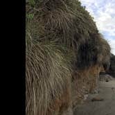 Review photo of Tillicum Beach Campground by Jessica C., September 11, 2017