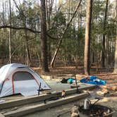 Review photo of Eno River State Park Campground by Kelley E., April 5, 2020