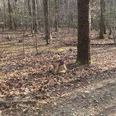 Review photo of Eno River State Park Campground by Kelley E., April 5, 2020