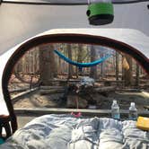 Review photo of Eno River State Park Campground by Kelley E., April 5, 2020