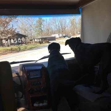 Bob V.'s photo of camping with pets at Victoria Bryant State Park Campground near Lavonia, GA