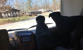 Bob V.'s photo of camping with pets at Victoria Bryant State Park Campground near Fair Play, SC