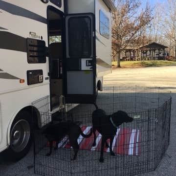Bob V.'s photo of camping with pets at Victoria Bryant State Park Campground near Lavonia, GA