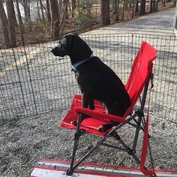Bob V.'s photo of camping with pets at Fort Yargo State Park Campground near Covington, GA