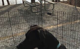 Bob V.'s photo of camping with pets at Fort Yargo State Park Campground near Suwanee, GA