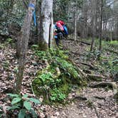 Review photo of Burnt Mill Bridge Loop by Lori H., April 6, 2020